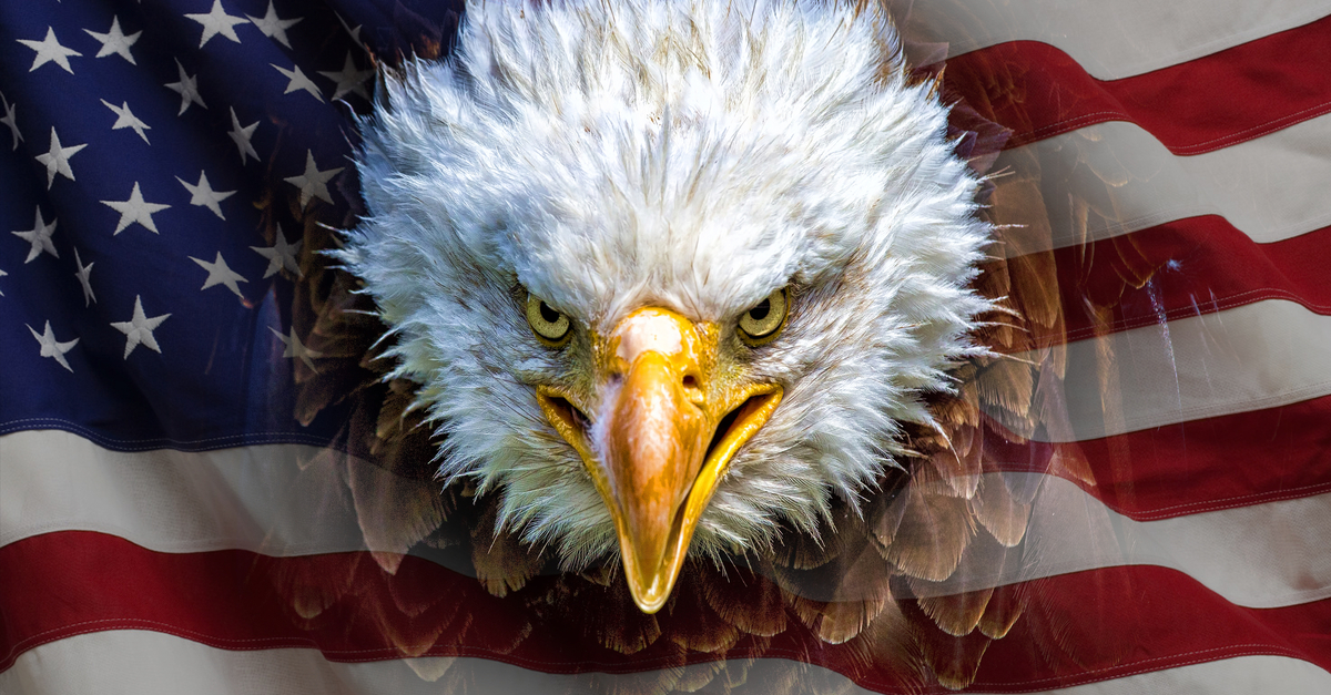 US flag angry eagle